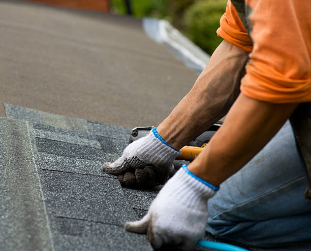 Best Flat Roof Repair Services  in Coker, AL