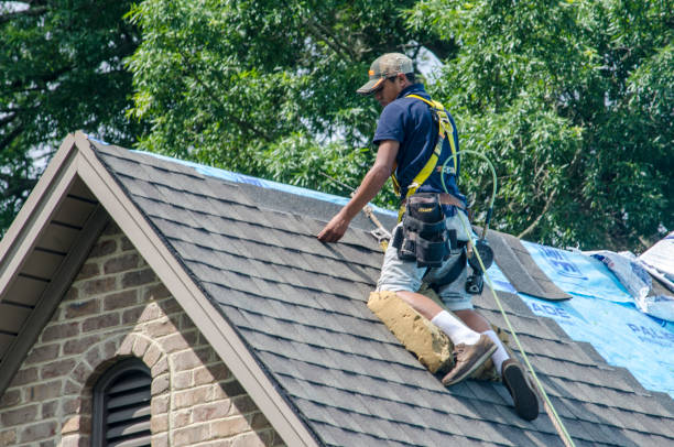 Best Best Roofing Contractors  in Coker, AL